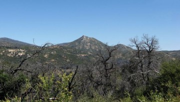 Cuyamaca Rancho State Park San Diego Day Trip