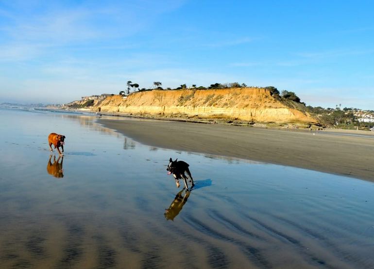 Del Mar North Beach