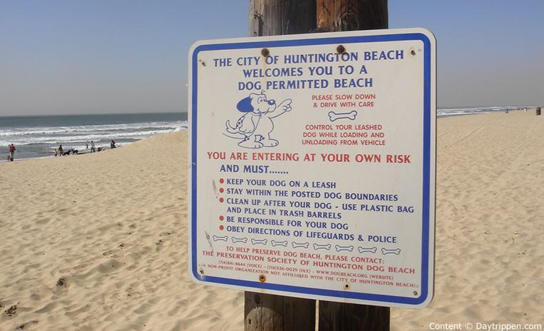 Huntington Beach Dog Beach Rules