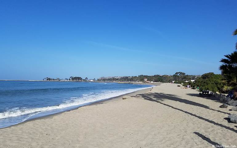 are dogs allowed at doheny state beach