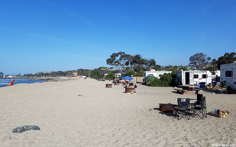 are dogs allowed at doheny state beach