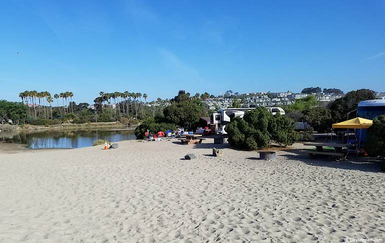 are dogs allowed at doheny state beach