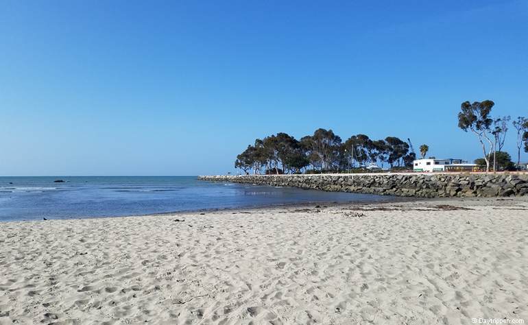 are dogs allowed at doheny state beach