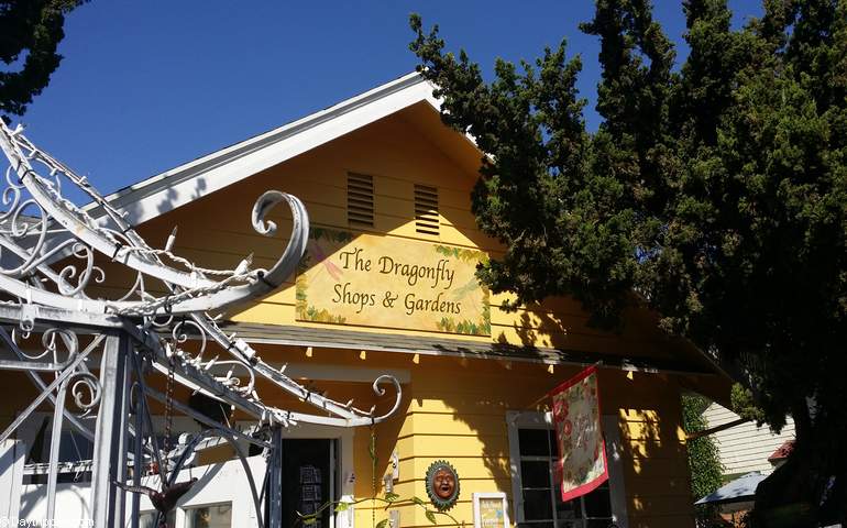 Dragonfly Shops Old Towne Orange