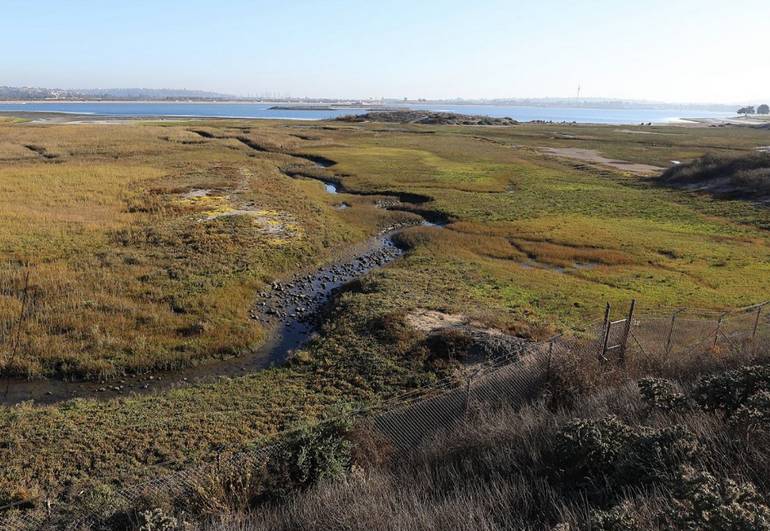 Kendall-Frost Mission Bay Marsh