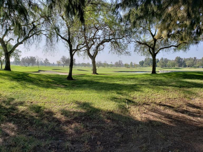 FREE Kids Fishing Derby - Mile Square Park in Fountain Valley