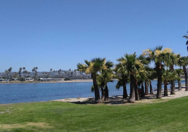 are dogs allowed at mission bay playground