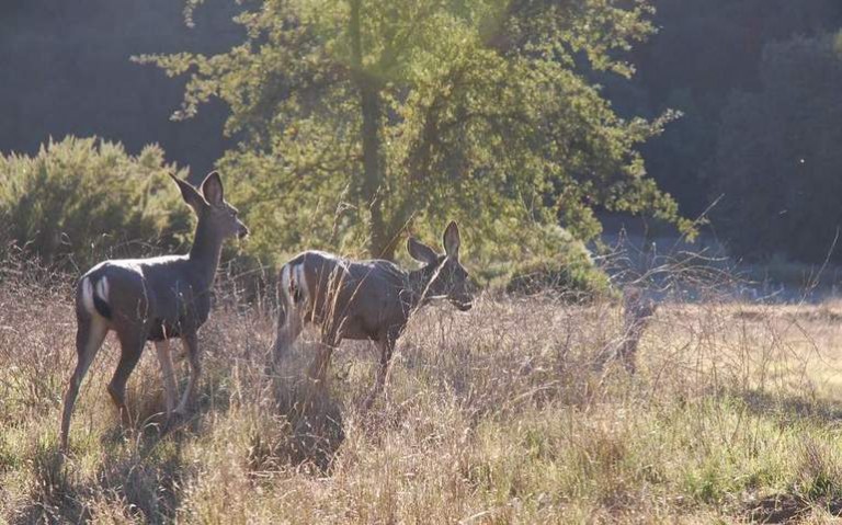 Malibu Creek State Park Day Trip Top Things To Do