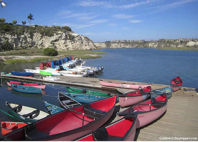 Newport Aquatic Center Kayak Rentals Back Bay