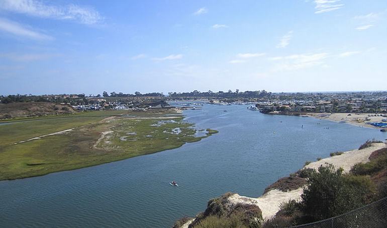 Upper Newport Bay Kayaking