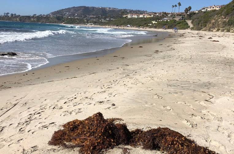 Salt Creek Beach Dana Point California