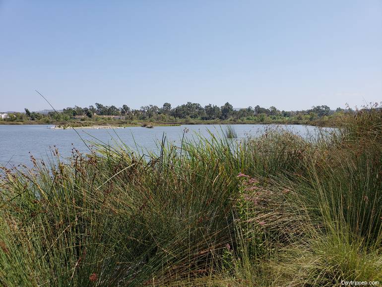  San Joaquin Wildlife Sanctuary