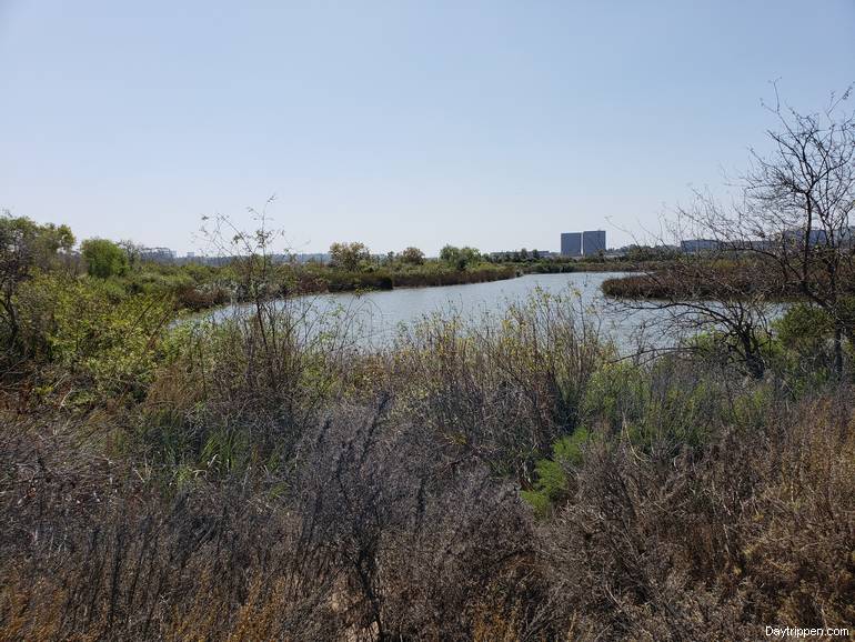 San Joaquin Wildlife Sanctuary 