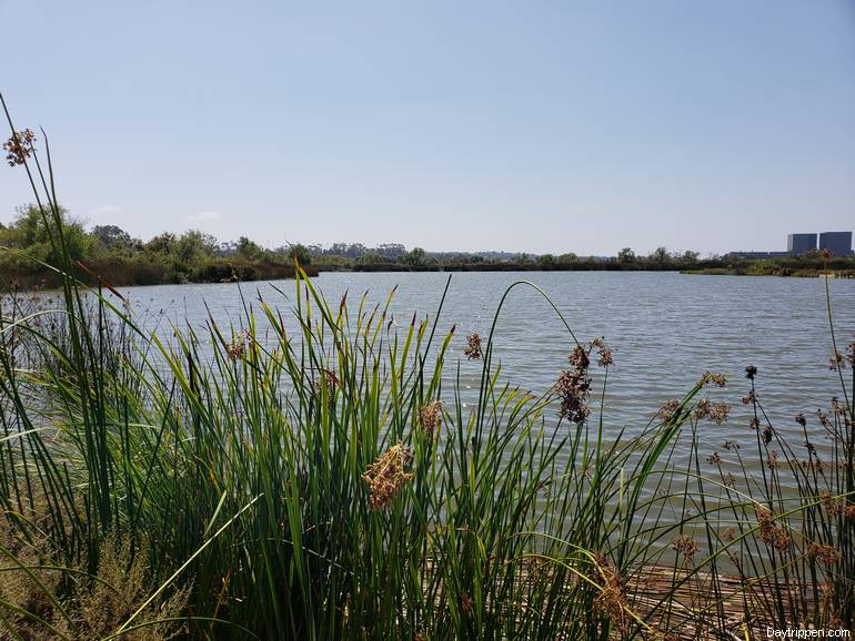  San Joaquin Wildlife Sanctuary