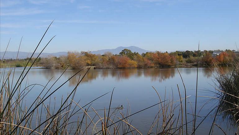 San Joaquin Wildlife Sanctuary Irvine
