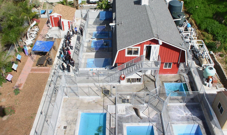 Pacific Marine Mammal Center