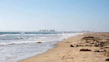 Silver Strand State Beach Camping