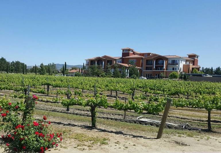 South Coast Winery Resort and Spa 