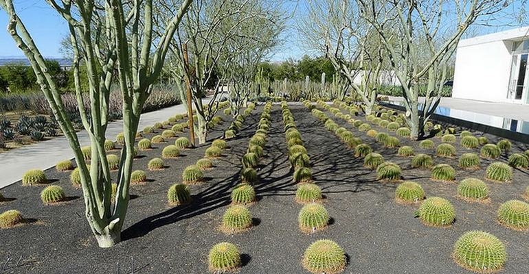 Lugares gratuitos a los que ir Sunnylands Estate