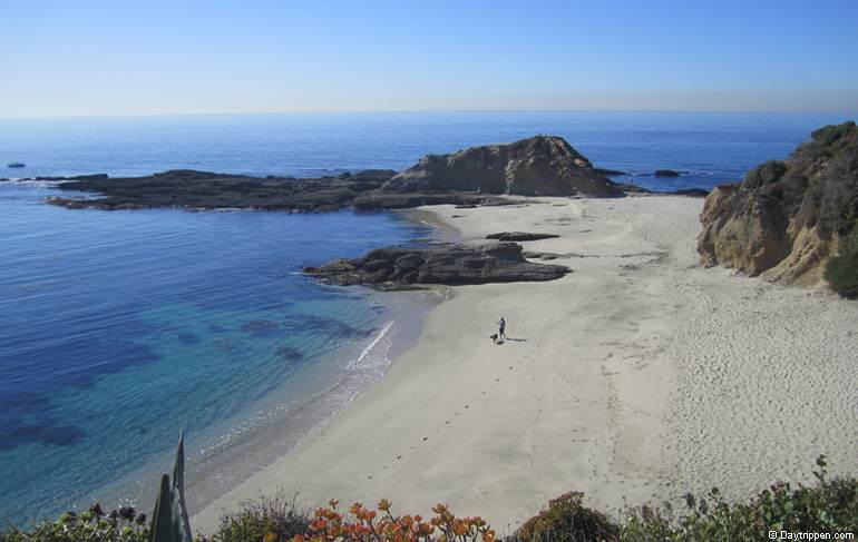 Beautiful Treasure Island Park Laguna Beach Day Trip