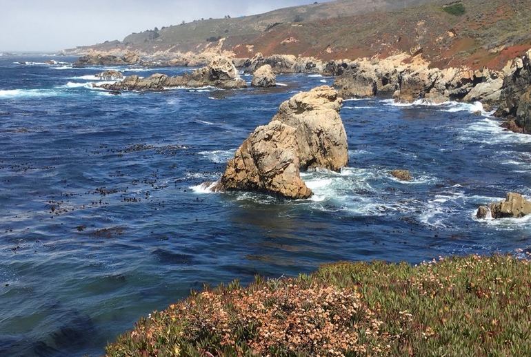 Garrapata State Beach