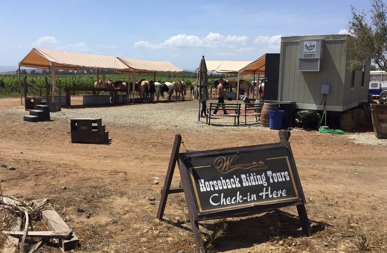 Temecula Horseback Wine Tour