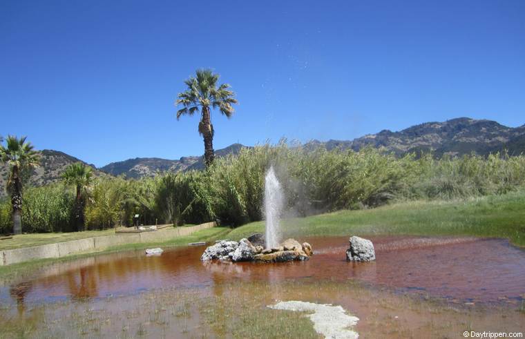 Old Faithful Geyser of California Calistoga, CA