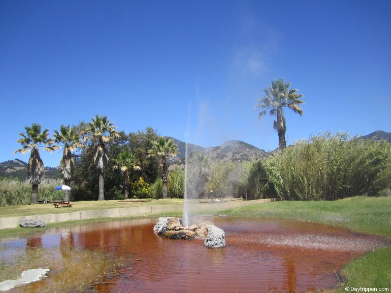 Old Faithful Geyser of California