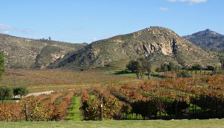 Orfila Vineyards