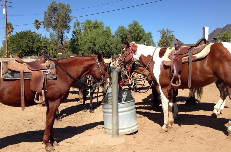 Temecula Horseback Riding Wne Tours