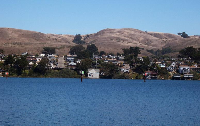 Excursión de un día a la Bahía de Bodega en San Francisco