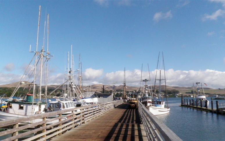 Bodega Bay Fishing Boats