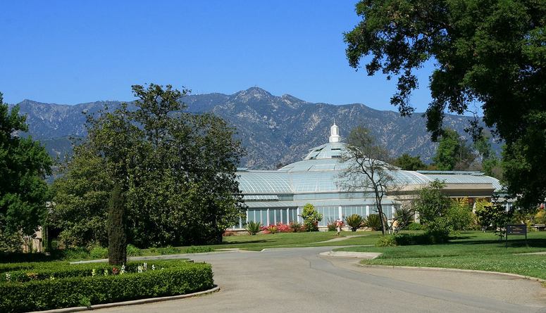 Huntington Library and Gardens