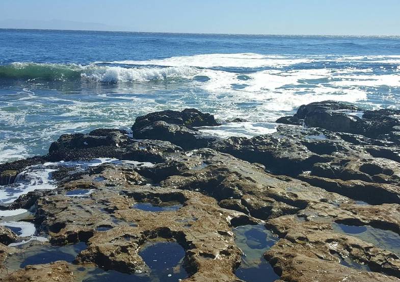 Natural Bridges State Beach Day Trip a Perfect Place for Families