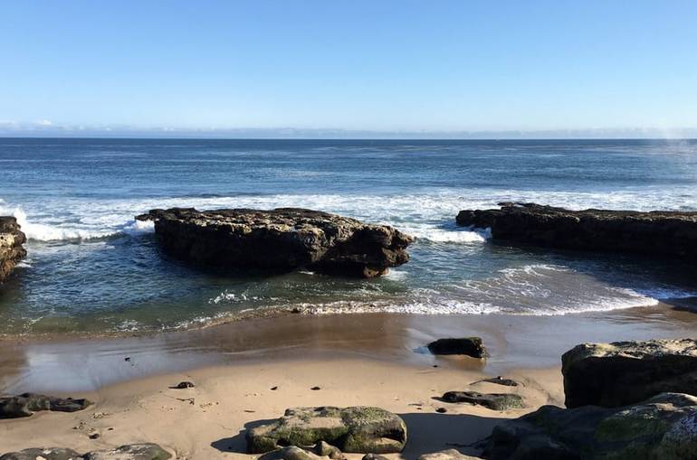 Natural Bridges State Beach Day Trip a Perfect Place for Families