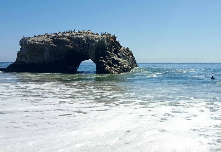 Natural Bridges State Beach Santa Cruz California