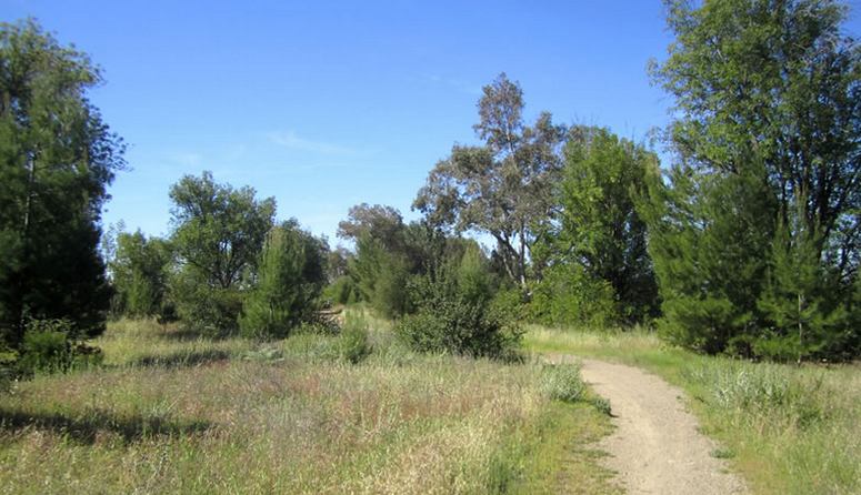 O'Neill Regional Regional Park Mesa Trail