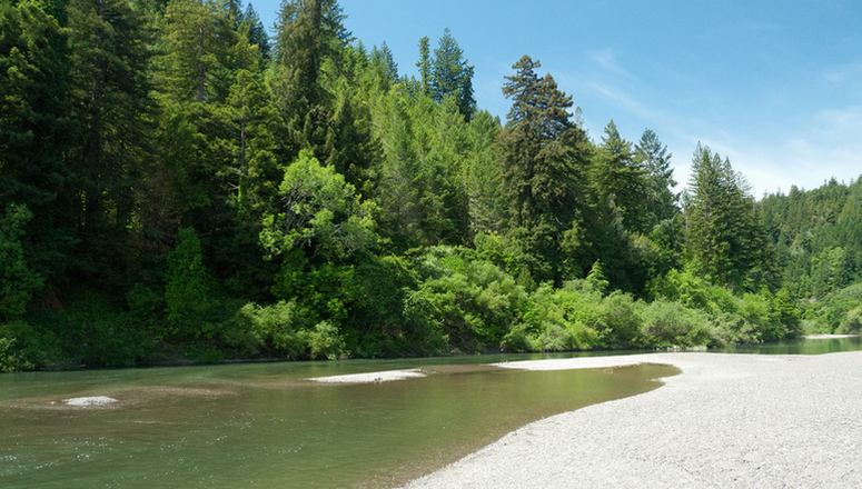 Guerneville San Francisco day trip