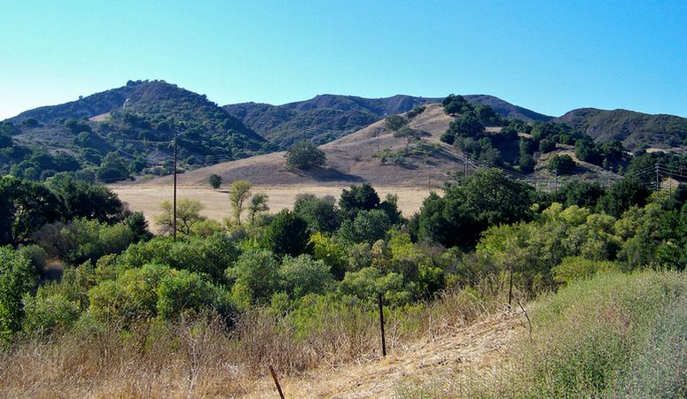 Santa Monica Mountains Wineries