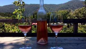 Carmel Valley Wine Tasting Day Trip