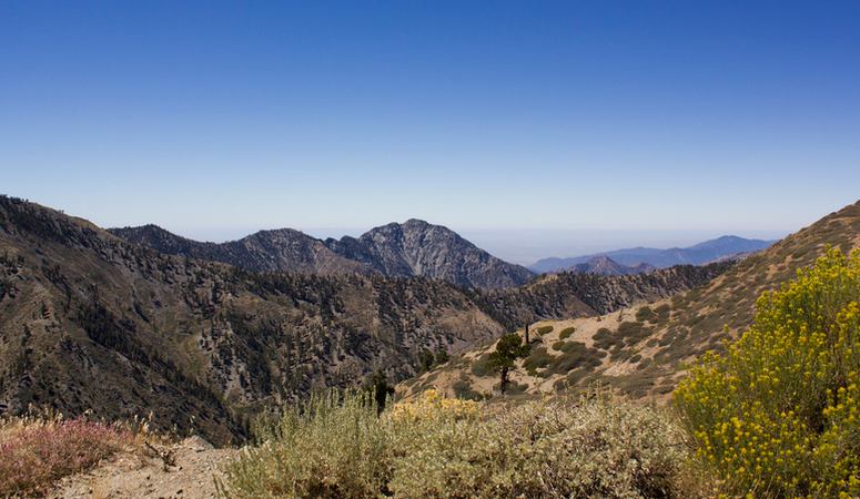 Wrightwood Day Trip San Gabriel Mountains California