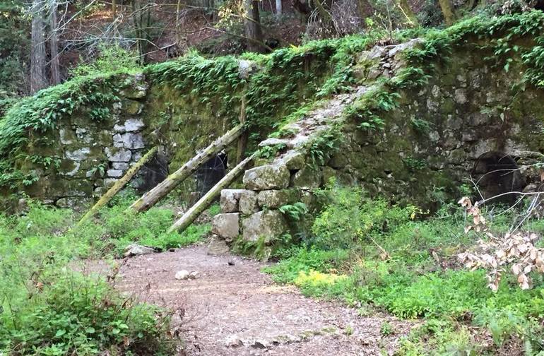 Henry Cowell Redwoods State Park Lime Kilns