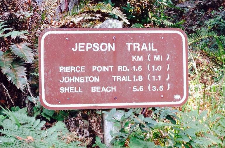 Jepson Trail Tomales Bay SP
