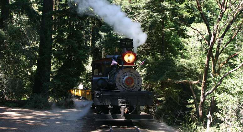 Roaring Camps Railway