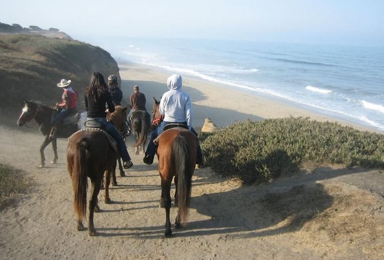 SeaHorse Ranch Horseback Beach Rides