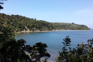 Tomales Bay Day Trip From San Francisco What to See