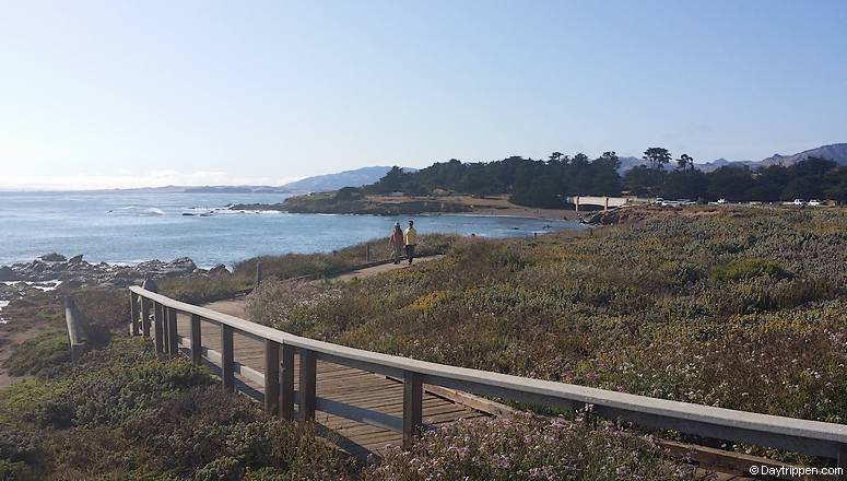 Cambria Oceanfront Boardwalk