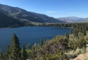 Twin Lakes Bridgeport California Fish Hike Enjoy the Scenery.