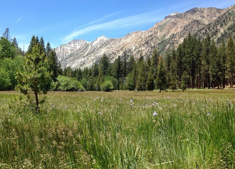 Barney Lake Trail 