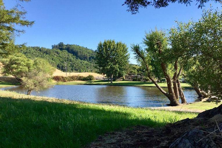 Marin French Cheese Company Lake